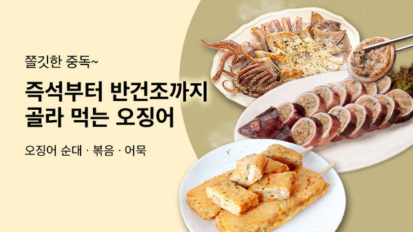 250824-오징어