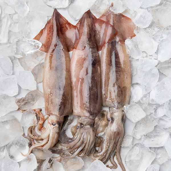 Sliced Korean Squid 300g