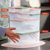 BETREE Season 2 Modular Set (17 Pcs _Green/Pink)_Korea Direct Delivery B