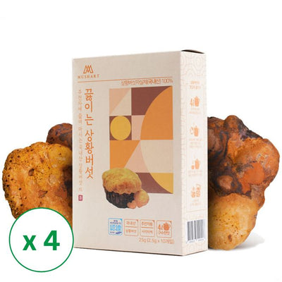 [솔룸바이오텍] 끓이는 상황버섯 (2.5g x 10ea) x 4 박스_무료배송 (묶음)