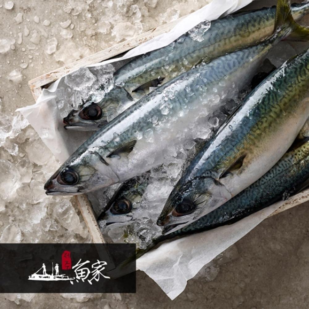 [1+1][Changhae Fisheries] Jeju Mackerel Fillet 500g (Set)