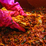 [황진담] 한국산 포기김치 5kg x 2_무료배송_ 2월 둘째주 순차발송 (묶음)